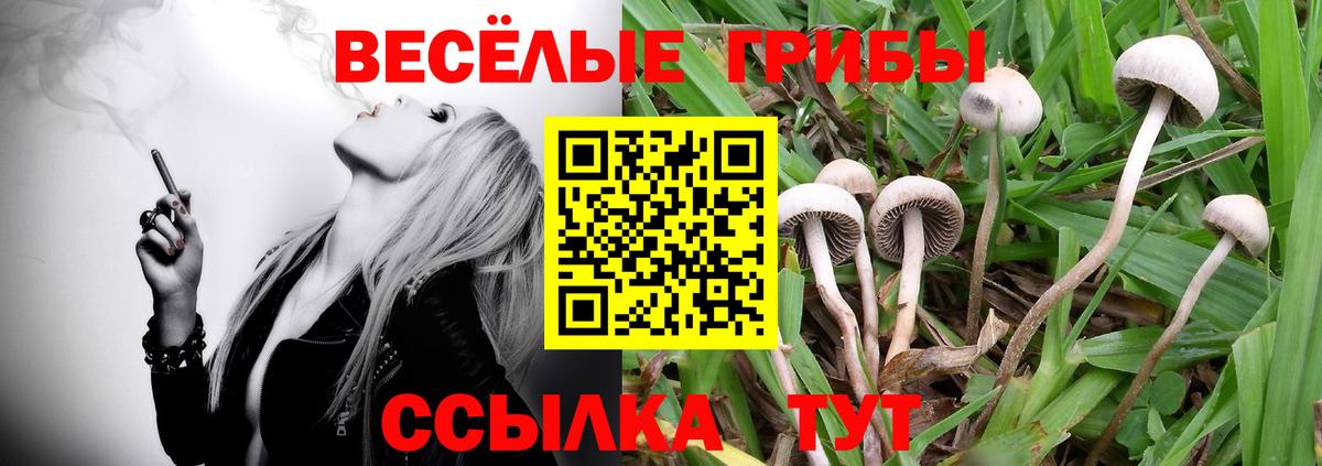 Рассказово  Псилоцибиновые грибы GOLDEN TEACHER  Псилоцибиновые грибы Magic Shrooms  Вход с VPN 