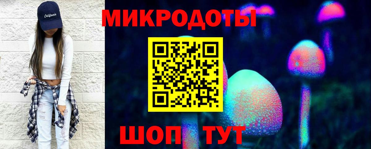 Псилоцибиновые грибы Psilocybine cubensis Рассказово